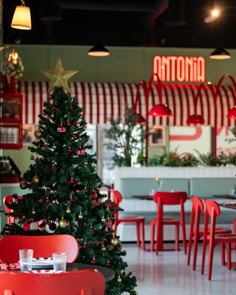 Antonia Ansam 6